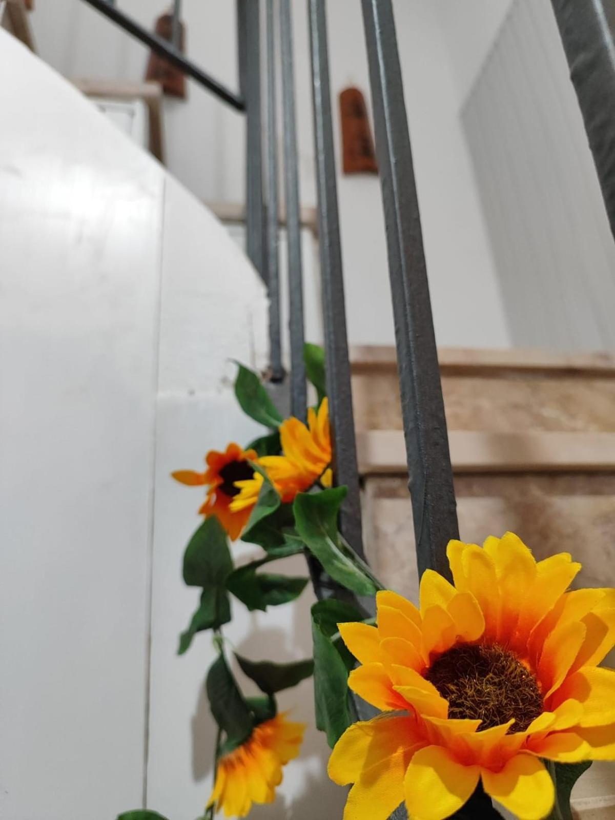 סורסו Casa Vacanze Con Giardino I Girasoli - Cin It 09006 - 9 C 2000 R4042- מראה חיצוני תמונה
